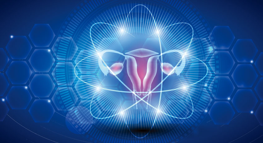 Women's Longevity and Hormonal Health: Perimenopause Metabolic Risks, Estrogen Brain Protection, and HRT Guidelines