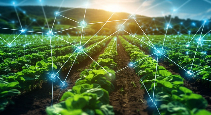 The international &ldquo;Telomeres - Telomeres in Ruminants&rdquo; project: a new opportunity to advance agriculture and animal protection