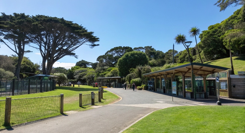 Auckland Zoo: A Perfect Outdoor Adventure Spot