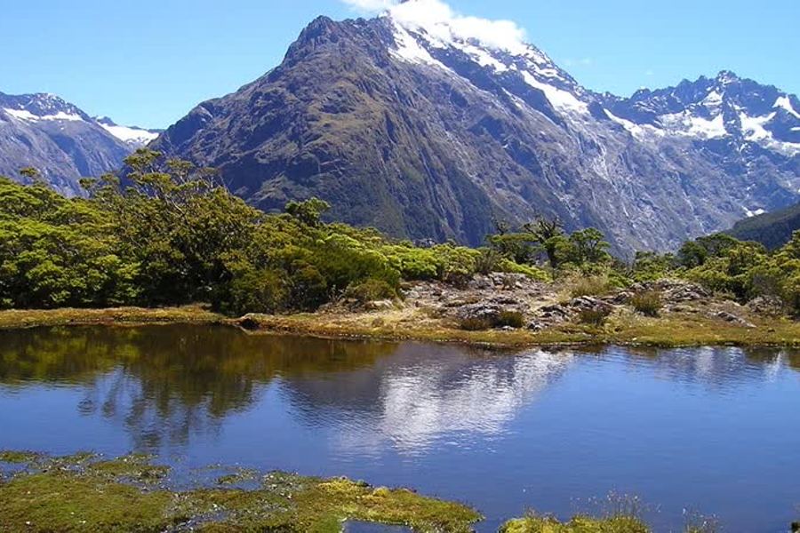 New Zealand