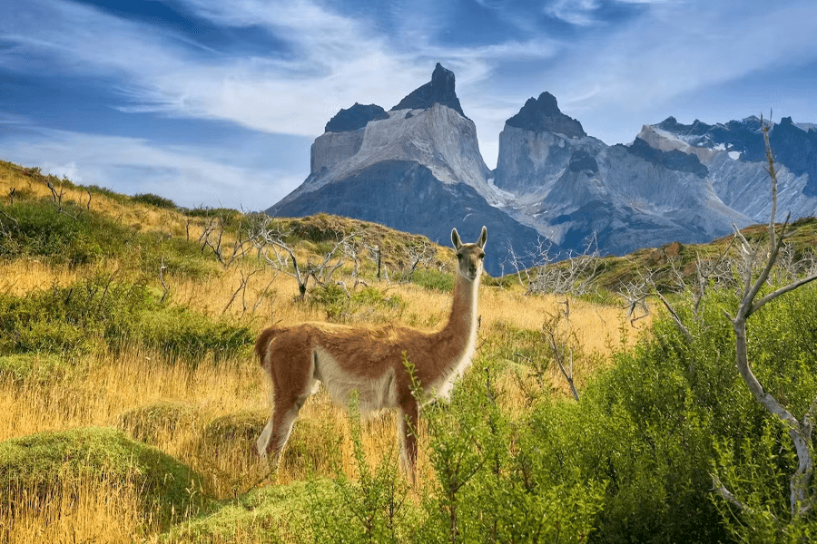 Chile