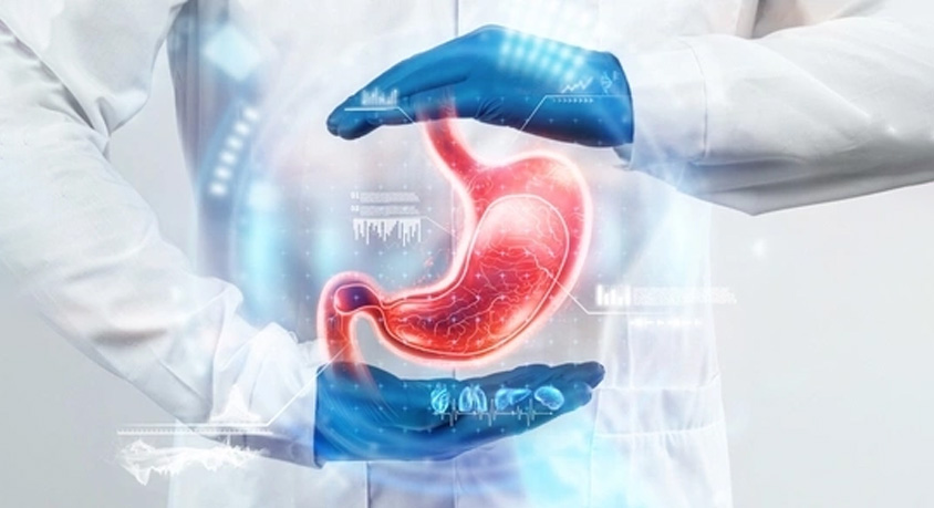 How Gut Health Improves Memory: The Gut-Brain Axis Link, Best Probiotic Foods, and Reducing Brain Inflammation