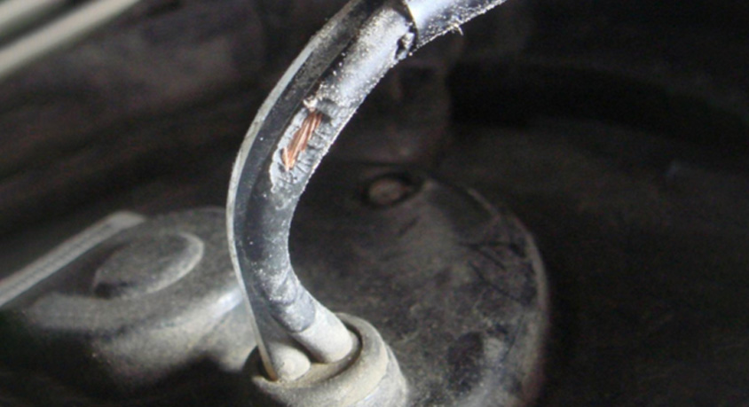 Why Rats Find Your Modern Car’s Wiring More Delicious Than Cheese